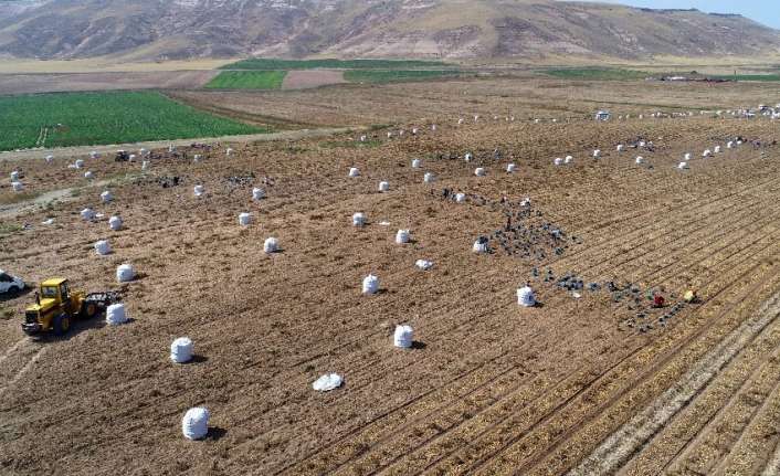 Türkiye Tarım Havzaları Üretim ve Destekleme Modeli kapsamında Erzincan ve