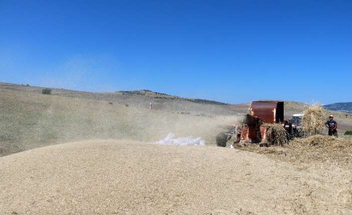Erzincan’da tarım ve hayvancılıkla uğraşan köylüler, 35 derece sıcaklığın altında
