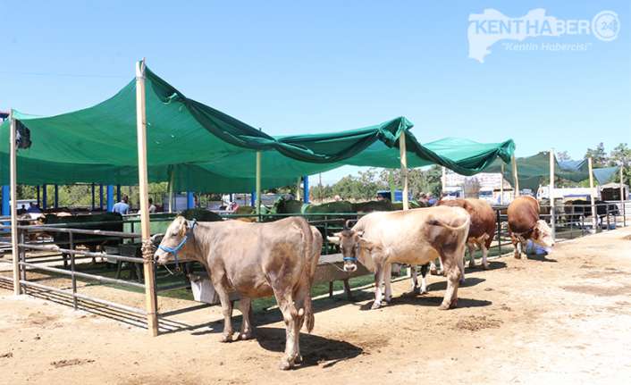 AK Parti Erzincan Milletvekilleri Süleyman Karaman ve Burhan Çakır’ın girişimleri