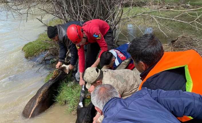 Erzincan’ın Tercan ilçesinde nehir