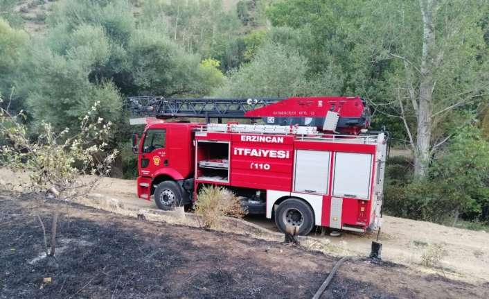 Erzincan’ın Tatlısu köyünde ağaçlık alanda çıkan yangında 2 dekarlık alan