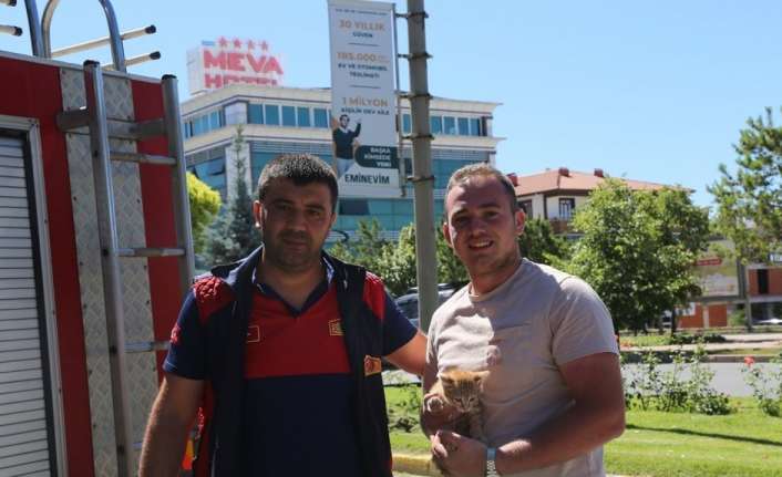 Erzincan’da çıktığı ağaçta mahsur kalan yavru kedi, itfaiye ekiplerince aşağı