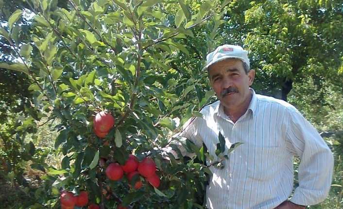 Erzincan’ın Üzümlü ilçesinde ağaçtan