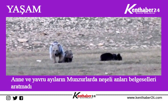 Erzincan ile Tunceli arasında kalan Munzur Dağlarında doğaya çıkan fotoğrafçılar