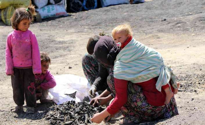 Mardin’in Mazıdağı ilçesinden çalışmak için Erzincan’ın Üzümlü ilçesi Pelitli köyüne