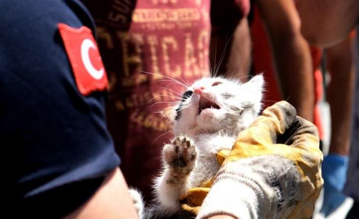 Erzincan’da bir cipin kapısının menteşe kısmına sıkışan yavru kedi, itfaiye