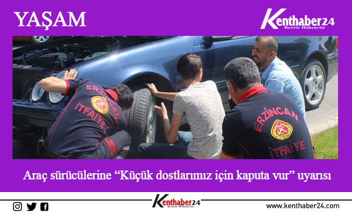 Havaların soğumasıyla birlikte kedilerin ısınmak amacıyla araçların kaputuna veya diğer