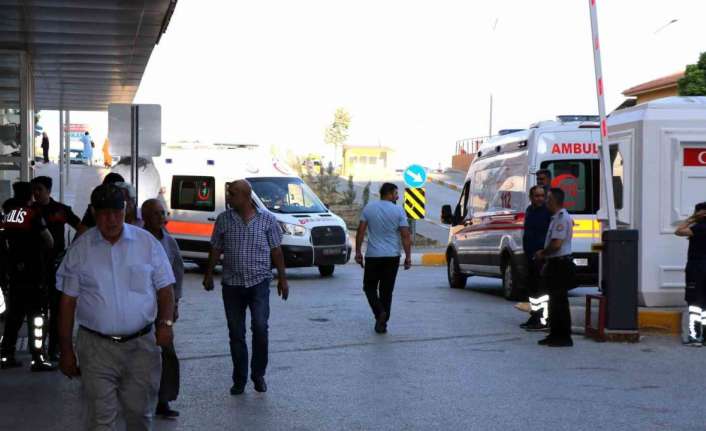 ARI SOKMASINA BAĞLI CİDDİ ALERJİK REAKSİYONLAR ÖLÜME SEBEP OLABİLİR