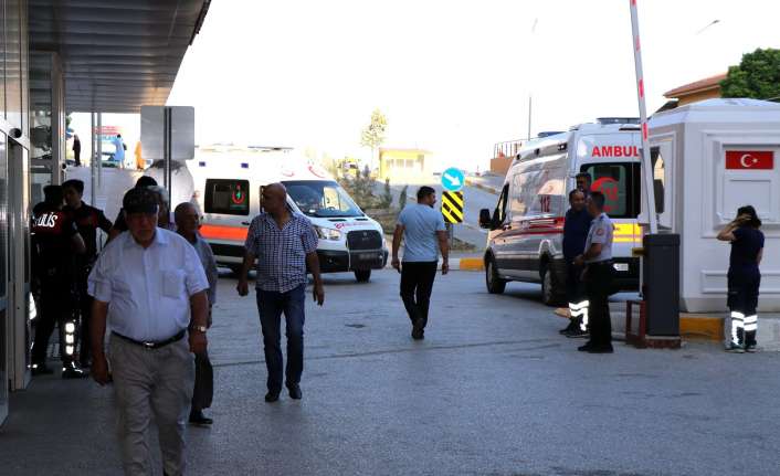 Alerji Hastalıkları Uzmanı Doç. Dr. Sakine Işık, arı sokmalarına karşı