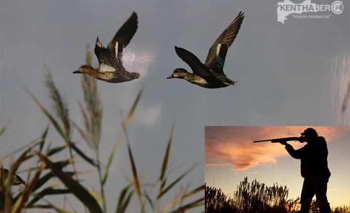 Doğa Koruma ve Milli Parklar Erzincan Şube Müdürlüğünden yapılan açıklama