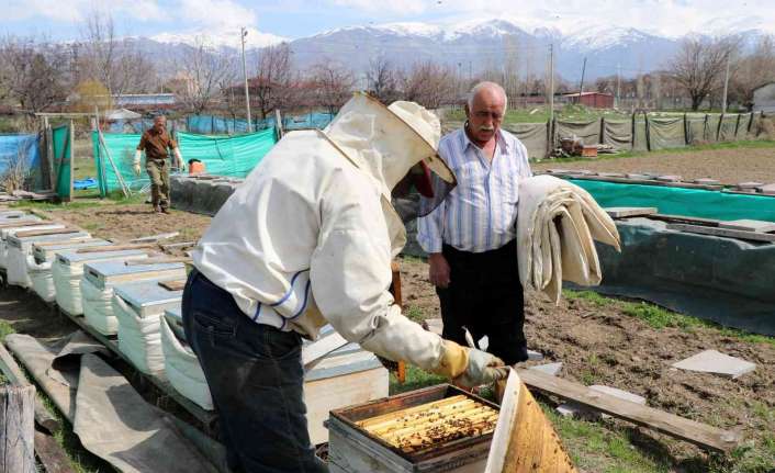 Erzincan’da ilkbahar mevsiminde havaların ısınması ile kovan bakımları yapılan bal