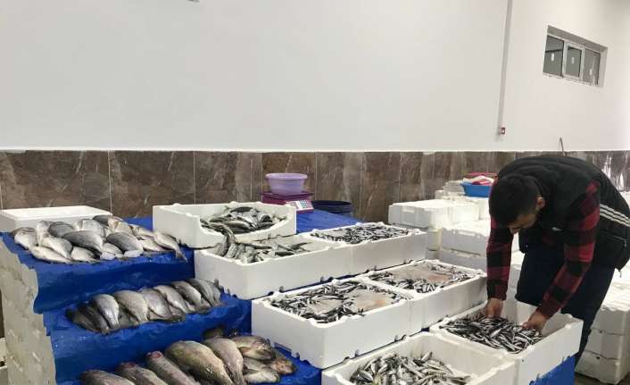 Erzincan’da havaların soğumasıyla birlikte balık satışlarının artması esnafın yüzünü güldürdü.