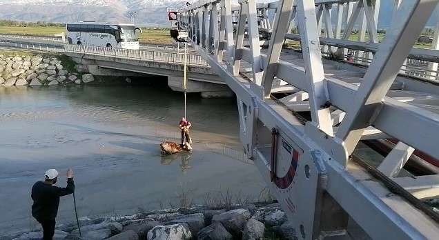BATAKLIĞA SAPLANAN İNEĞİ İTFAİYE KURTARDI