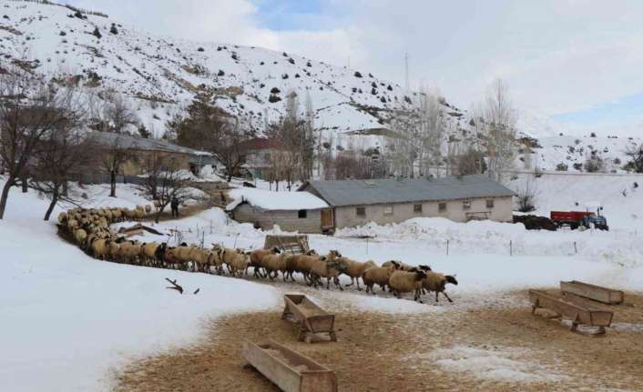Hava sıcaklığının geceleri sıfırın altına düştüğü Doğu Anadolu’nun yüksek kesimlerde