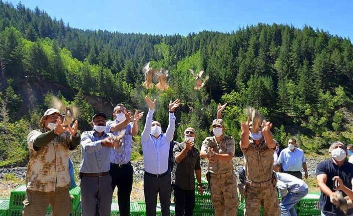 Erzincan’ın Refahiye ilçesinde bin adet kınalı keklik doğaya salındı.