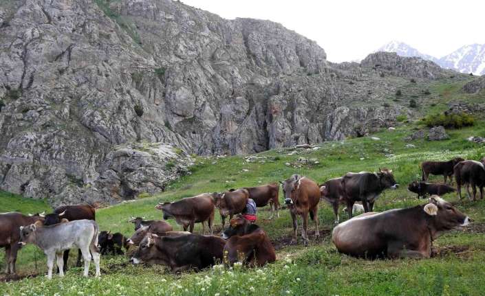 Türkiye’de haziran sonu itibarıyla