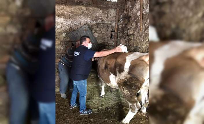 Erzincan Tarım ve Orman İl Müdürlüğüne bağlı Hayvan Sağlığı, Yetiştiriciliği