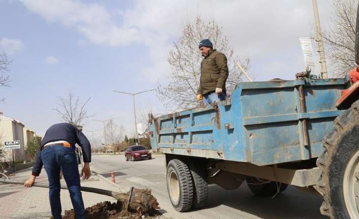 Erzincan’da yeşil alan çalışmaları