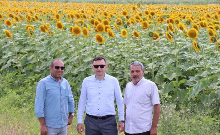 Türkiye’nin sıvı yağ ve kuruyemiş üretiminde önemli bir yere sahip
