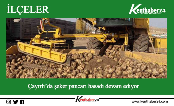 Erzincan ve ilçelerinde çiftçilerin önemli geçim kaynaklarından biri olan ve