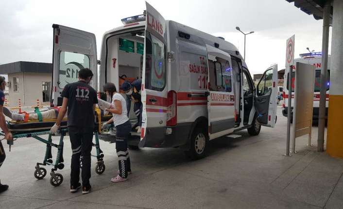 Erzincan’da ceviz hasadının başlamasıyla birlikte ağaçtan düşme vakaları arttı. Son