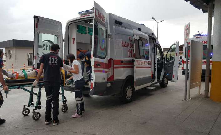 Erzincan’da ceviz hasadının başlamasıyla