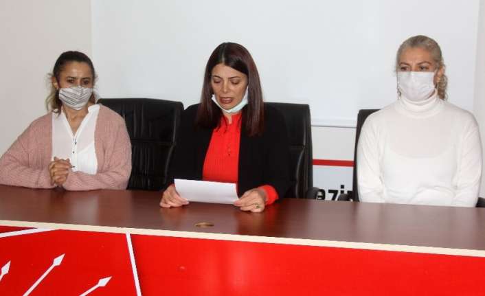 Cumhuriyet Halk Partisi (CHP) Erzincan Kadın Kolları, 25 Kasım Kadına