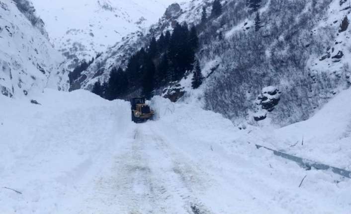 Meteoroloji 12. Bölge Müdürlüğü, bölge illeri için çığ, buzlanma ve