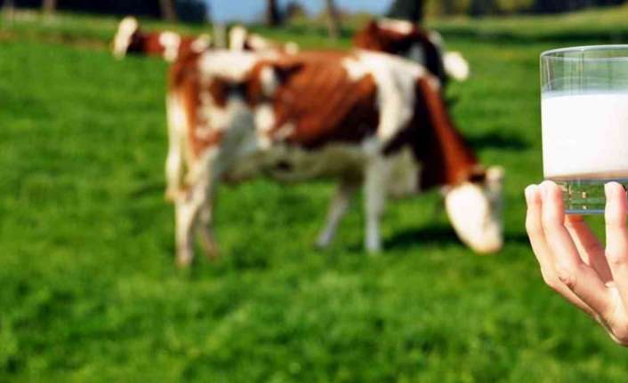 ÇİĞ SÜT ÜRETİMİ 2022 YILINDA YÜZDE 7,1 AZALDI