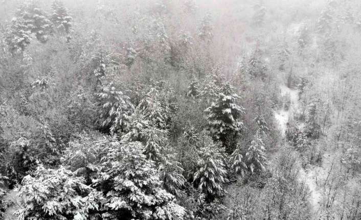 Havaların ısınmasıyla birlikte meteorolojiden çığ tehlikesine dikkat çekildi.