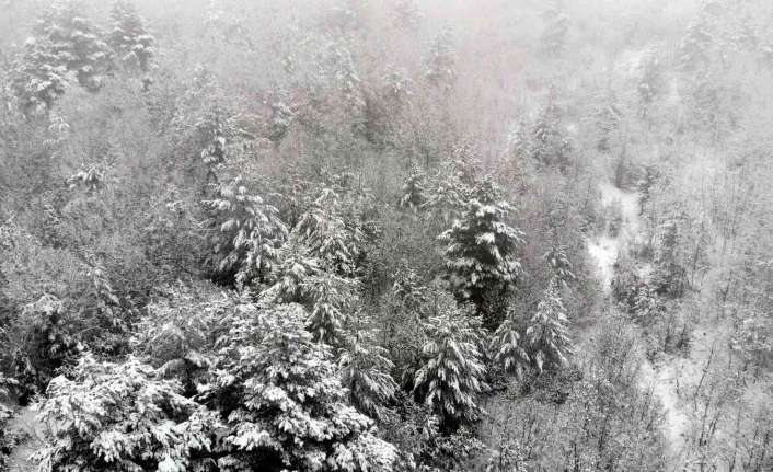 Havaların ısınmasıyla birlikte meteorolojiden