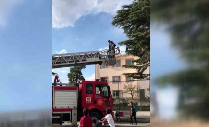 ÇIKTIĞI AĞAÇTAN İNEMEYEN ÇOCUĞU İTFAİYE KURTARDI