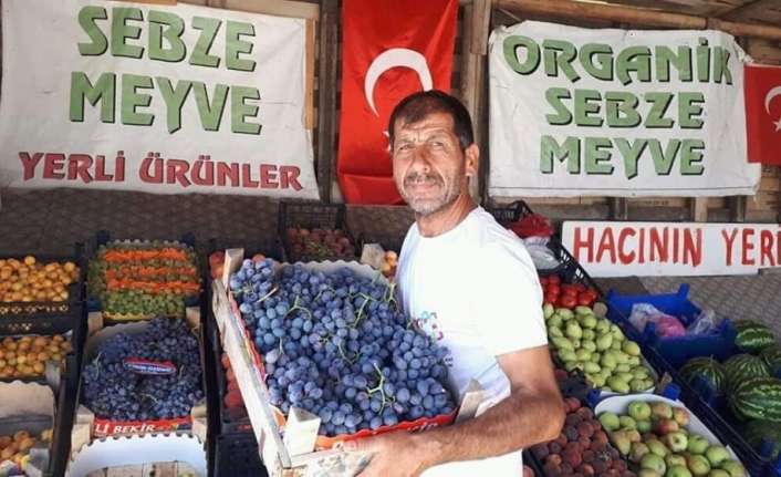 Erzincan’ın önde gelen tarımsal ürünlerinden birisi olan cimin üzümünde hasat