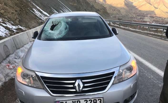 Erzincan’da, dağdan kopup seyir halindeki otomobilin camından içeriye düşen kaya