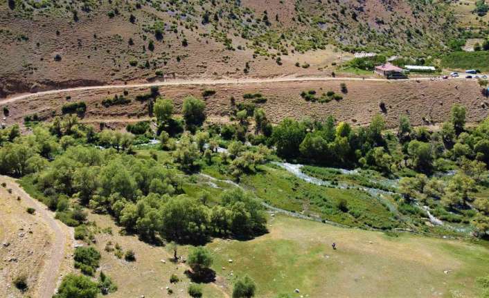 Dünyanın en görkemli şelalelerinden biri olan Erzincan’ın Çağlayan beldesindeki Girlevik
