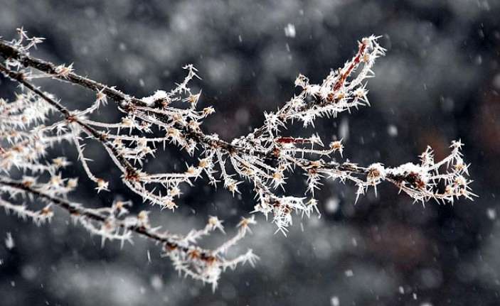 Meteoroloji, Doğu Anadolu’daki 6 il için buzlanma ve don uyarısı