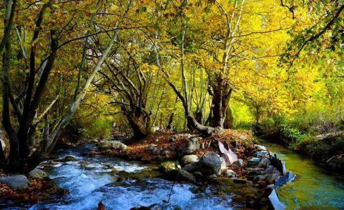 Doğu Anadolu Bölgesi’nde en yüksek sıcaklık 23,5 dereceyle Erzincan’ın Kemaliye