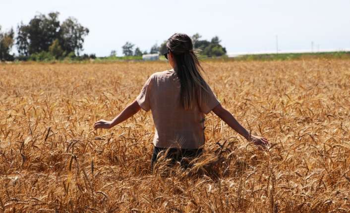 Kuraklığın dikkat çektiği Doğu Anadolu Bölgesinde hava sıcaklığı mevsim normallerinin