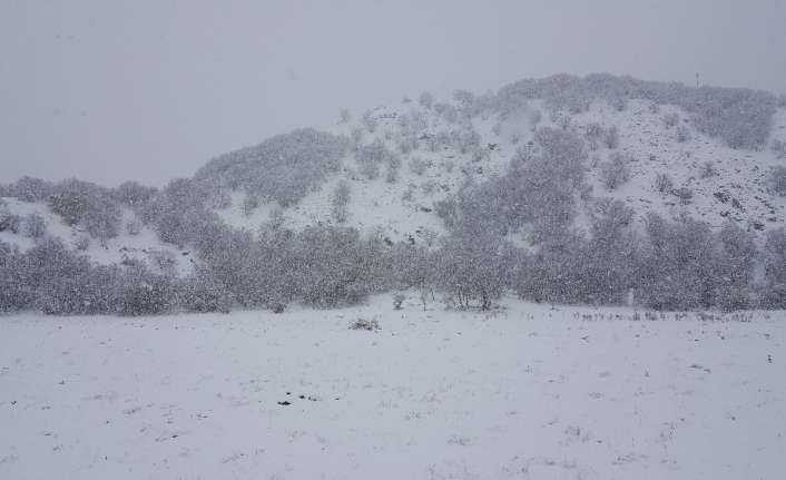 Doğu Anadolu Bölgesinde rakımı yüksek noktalarda kar yağışı etkisini gösterdi.
