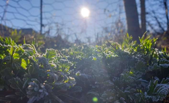 DOĞU’DA HAVA SICAKLIĞI MEVSİM NORMALLERİ ÜZERİNDE SEYREDİYOR