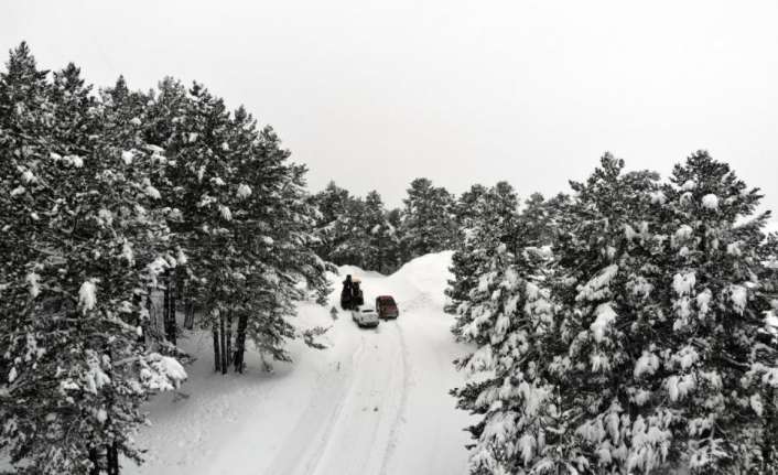 Erzincan, Bayburt, Erzurum, Kars,