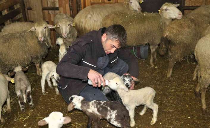 Erzincan’da çiftçilik yapan bir