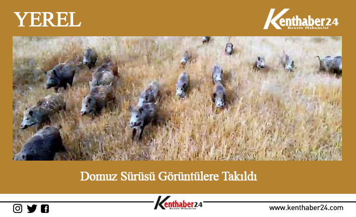 Erzincan’ın Çayırlı ilçesine bağlı Sazlıpınar köyünde üniversiteyi bırakarak çobanlık mesleğini