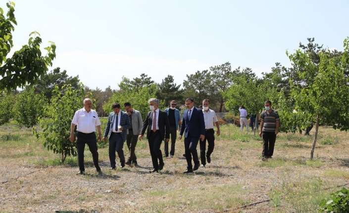 Erzincan valisi Mehmet Makas, Üzümlü ilçesinde belediye tarafından 40 dönümlük