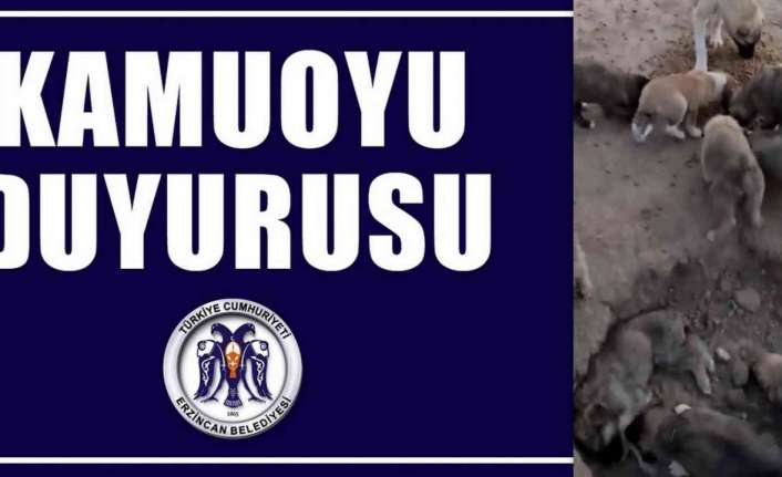 Erzincan’da bulunan hayvan barınağı, sosyal medyaya düşen görüntülerle gündem olurken