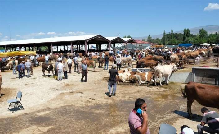 Türkiye’yi alarma geçiren ve birçok ilde görülen şap hastalığı nedeniyle