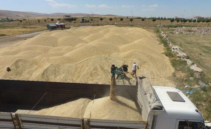 Erzincan, Erzurum ve Ağrı’da sulama sezonu tamamlandı. 2020 yılı sulama