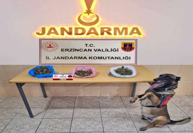 Erzincan İl Jandarma Komutanlığınca,