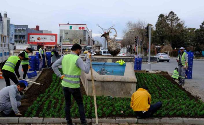 ERZİNCAN’DA BELEDİYE EKİPLERİNCE DÖRTYOL MEVKİİNDE BULANAN ORTA REFÜJLERE BAHARLIK KARANFİL