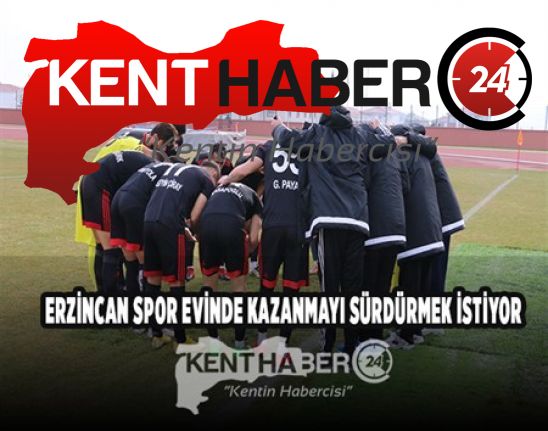 TFF 3. Lig 3. Grupta mücadele eden Anagold 24 Erzincan